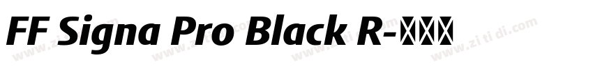 FF Signa Pro Black R字体转换